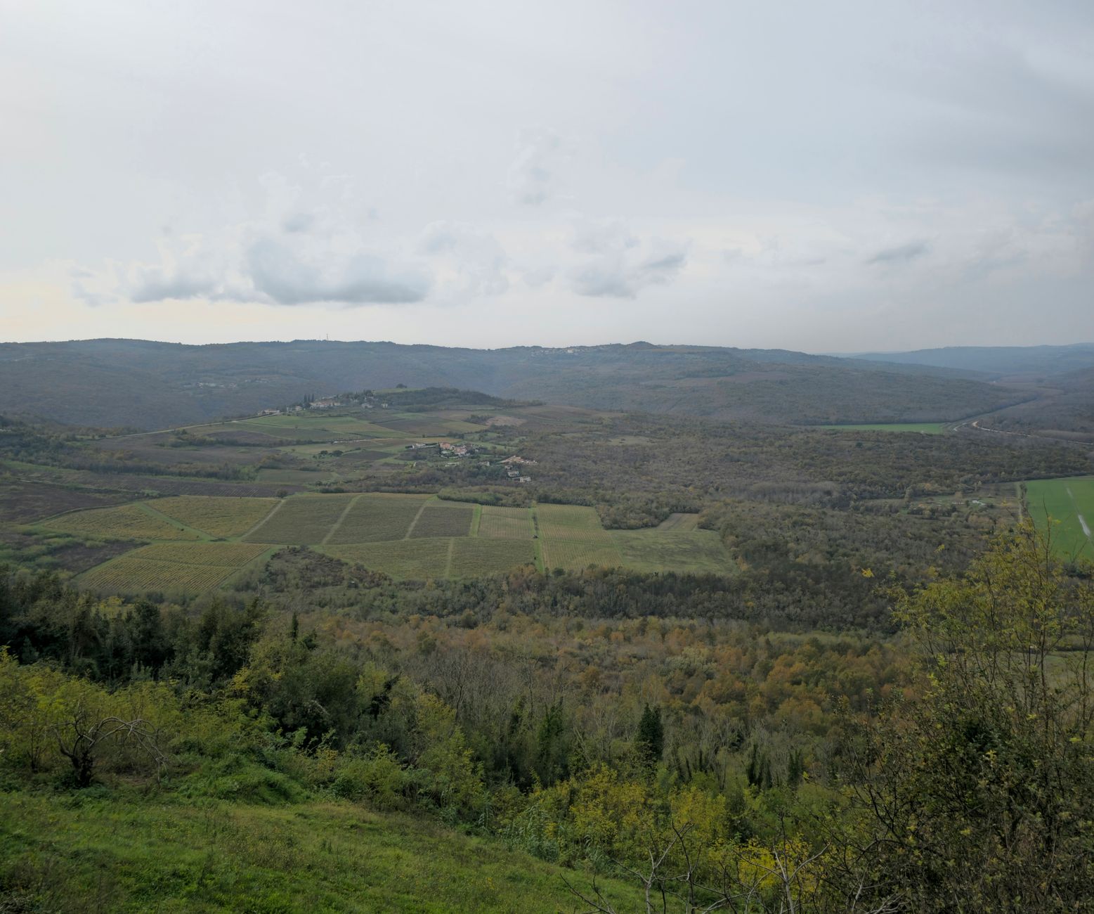 Istra, vinogradi i tartufi